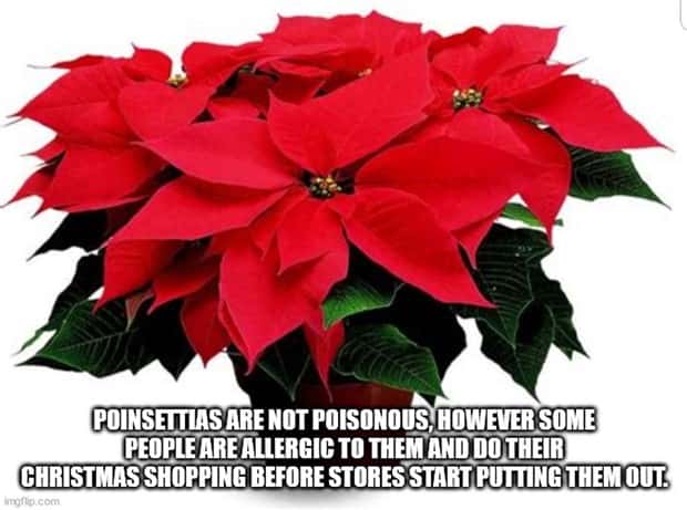 It’s Time for Some Cool and Interesting Facts #409 (24 photos)