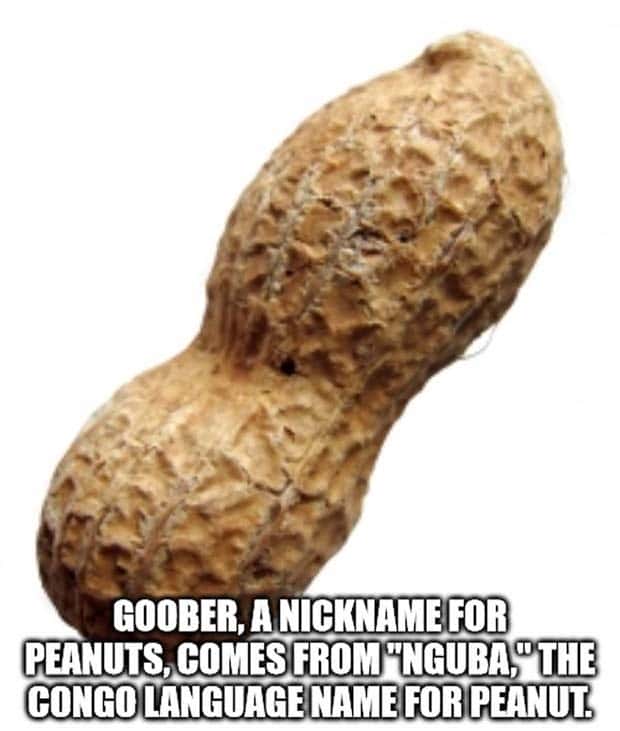 It’s Time for Some Cool and Interesting Facts #409 (24 photos)