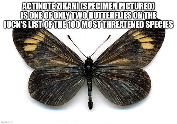 It’s Time for Some Cool and Interesting Facts #409 (24 photos)