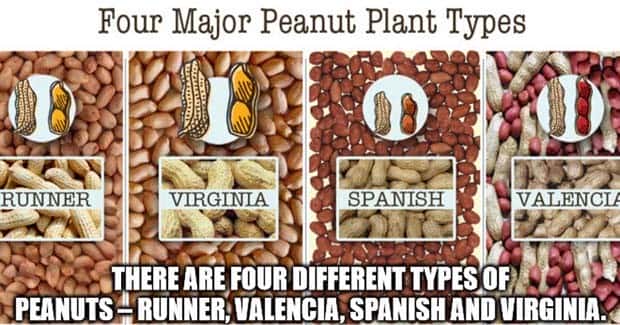 It’s Time for Some Cool and Interesting Facts #409 (24 photos)