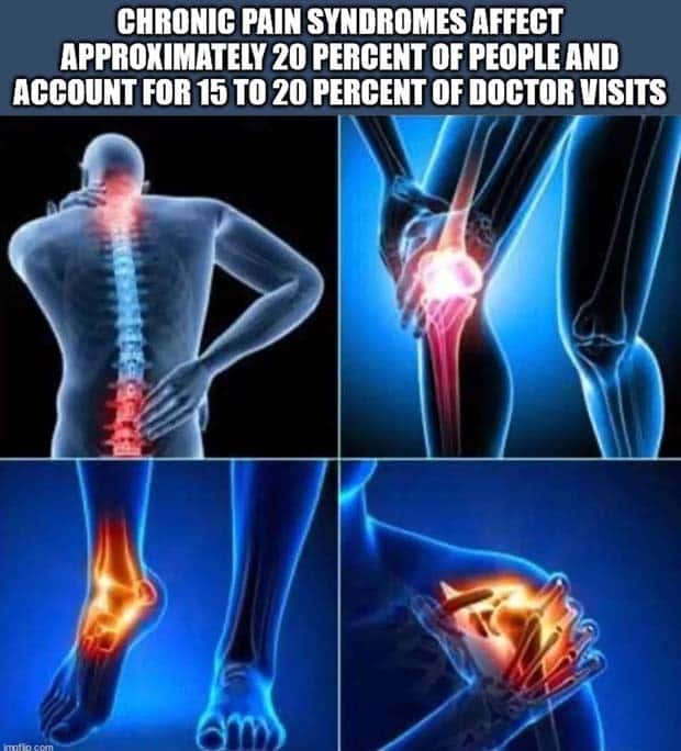 It’s Time for Some Cool and Interesting Facts #409 (24 photos)