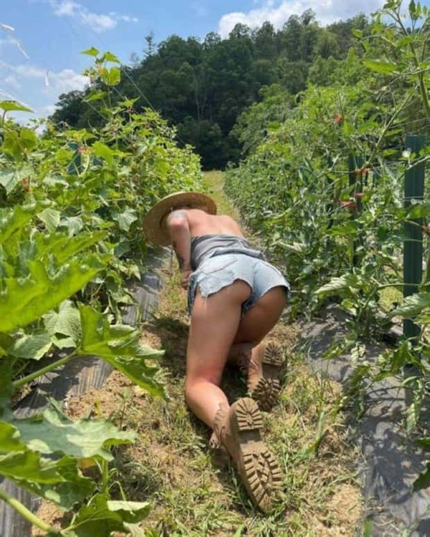 A Little Fun for Adults #381 (29 photos)