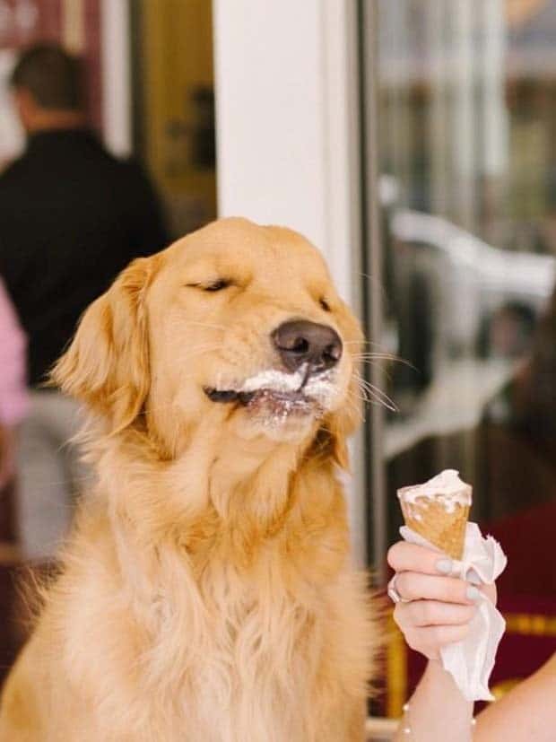 Get Ready for Funny Animals #363 (23 photos)