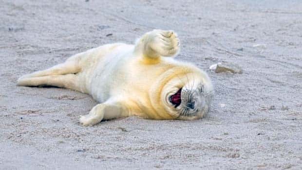 Get Ready for Funny Animals #363 (23 photos)