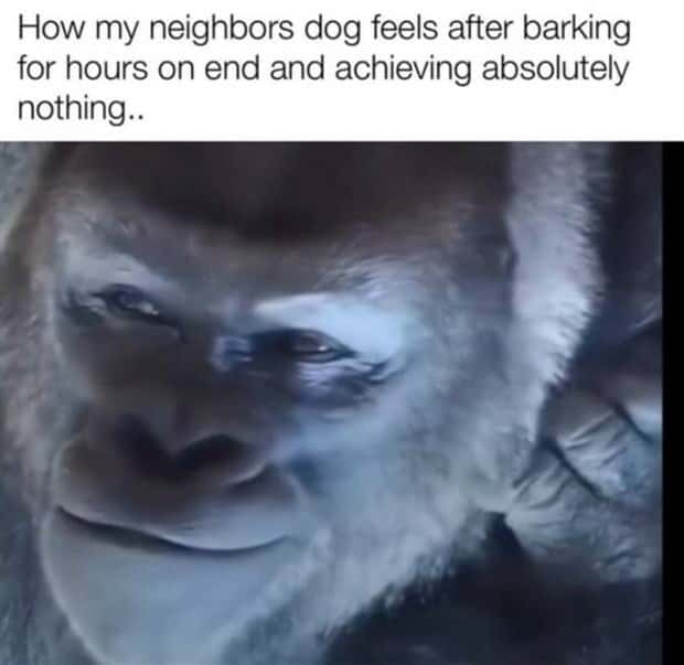 Funny Pics and Memes to Make You Laugh #135 (26 photos)