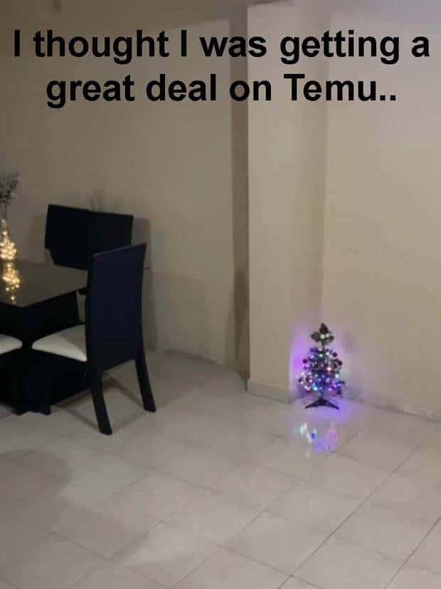 Funny Pics and Memes to Make You Laugh #134 (24 photos)