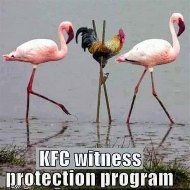 Funny Pics and Memes to Make You Laugh #134 (24 photos)