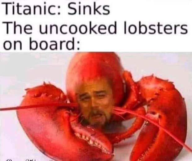 Funny Pics and Memes to Make You Laugh #135 (26 photos)