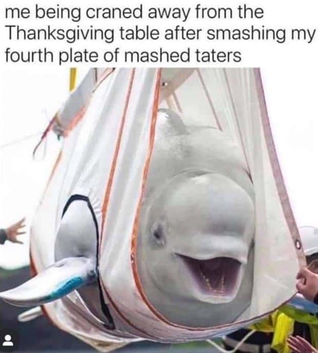 Funny Pics and Memes to Make You Laugh #133 (25 photos)