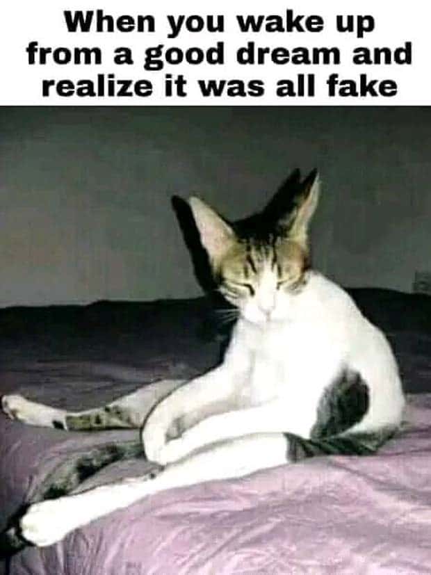 Funny Pics and Memes to Make You Laugh #134 (24 photos)