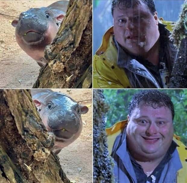 Funny Pics and Memes to Make You Laugh #135 (26 photos)