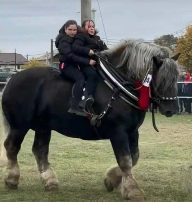 Klyker Picdump #1613 (43 photos)