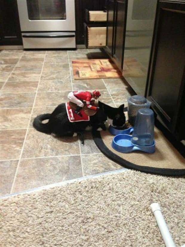 Klyker Picdump #1613 (43 photos)