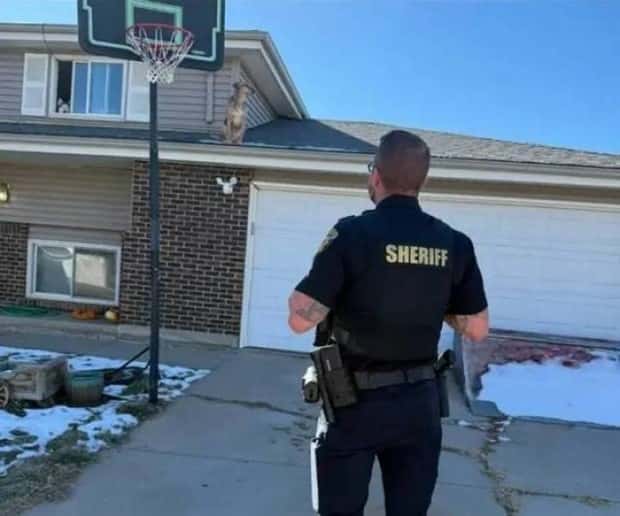 Klyker Picdump #1613 (43 photos)