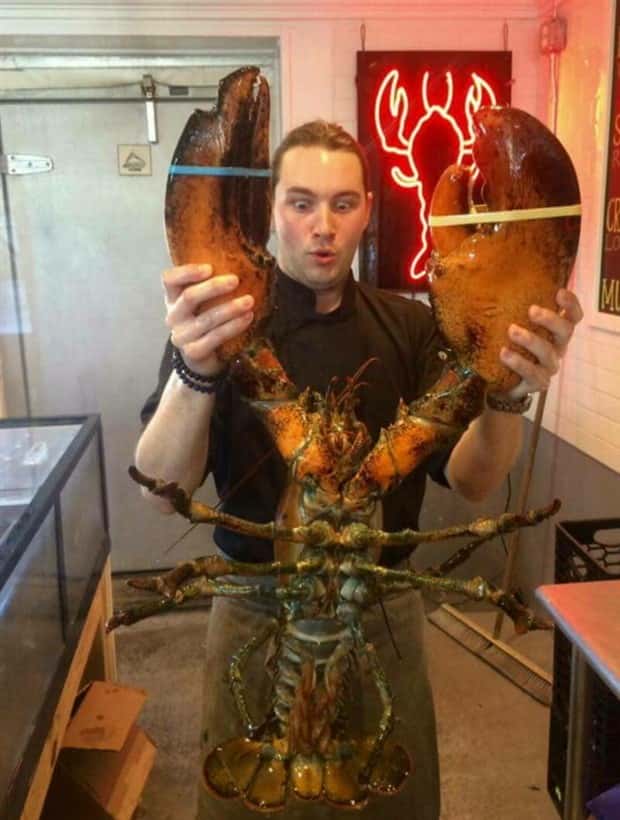 Klyker Picdump #1613 (43 photos)