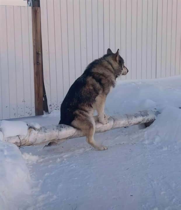 Klyker Picdump #1613 (43 photos)