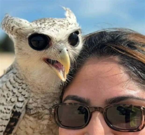 Klyker Picdump #1613 (43 photos)