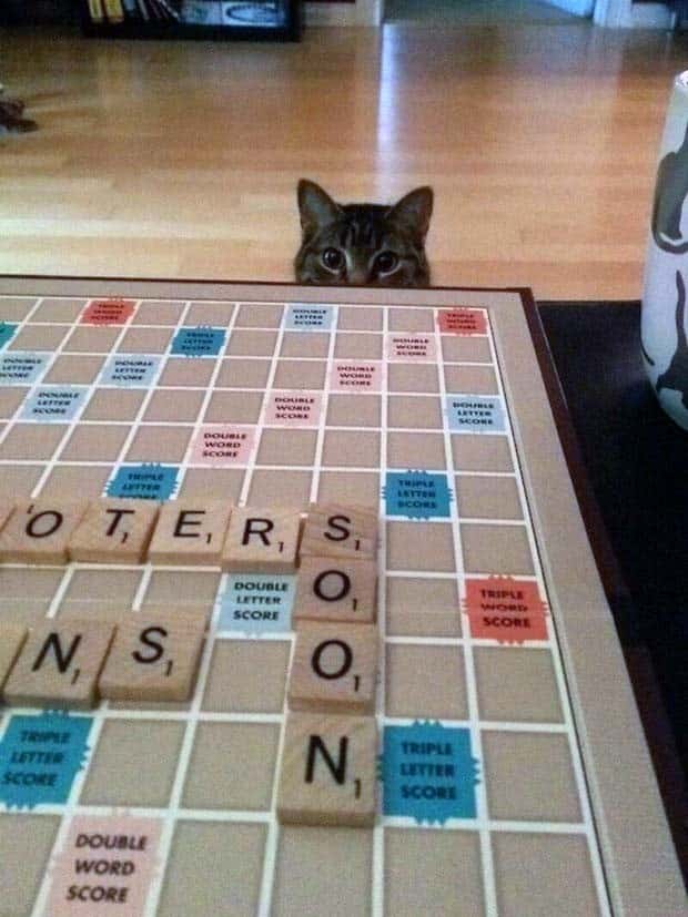 Klyker Picdump #1618 (43 photos)