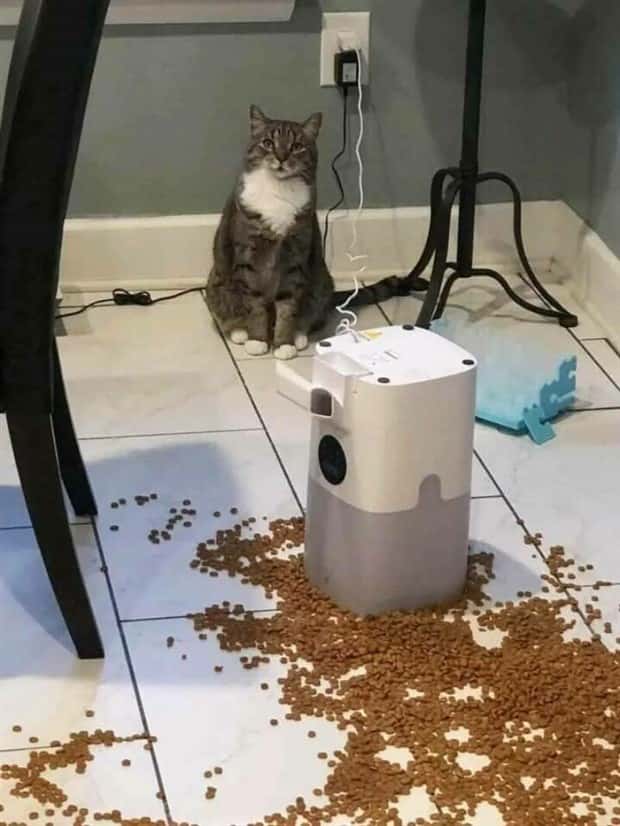 Klyker Picdump #1618 (43 photos)