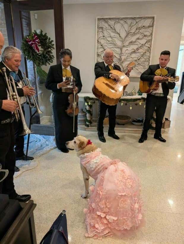 Klyker Picdump #1618 (43 photos)