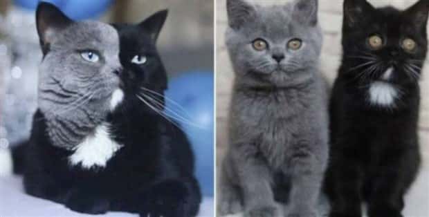 Klyker Picdump #1618 (43 photos)