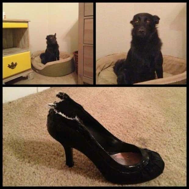 Klyker Picdump #1619 (44 photos)