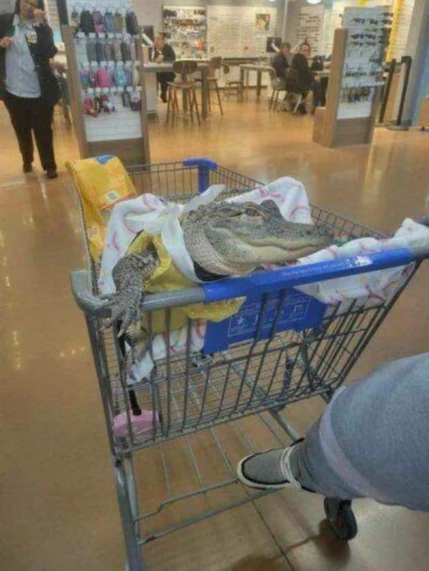 Klyker Picdump #1619 (44 photos)