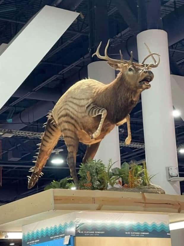 Klyker Picdump #1619 (44 photos)