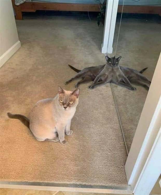 Klyker Picdump #1619 (44 photos)