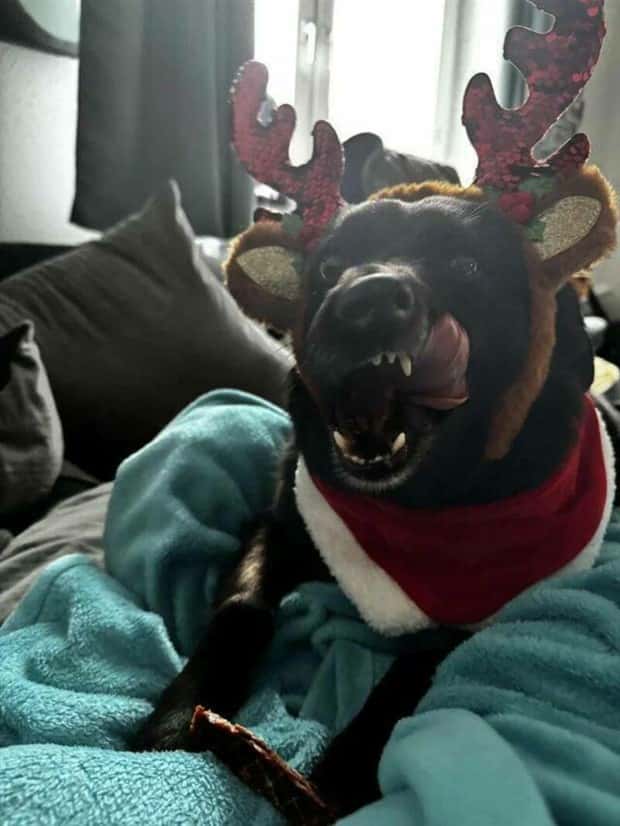 Klyker Picdump #1619 (44 photos)