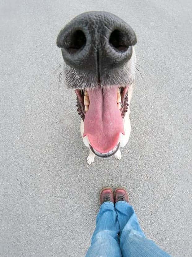 Klyker Picdump #1620 (45 photos)