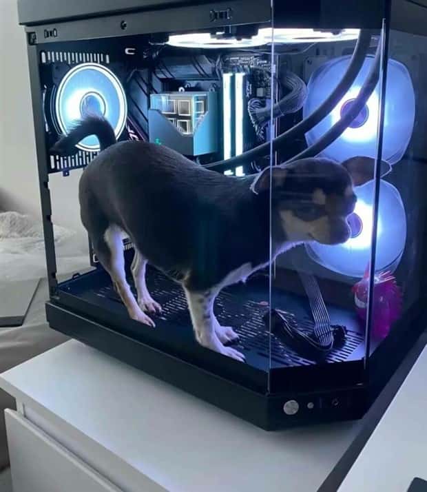 Klyker Picdump #1620 (45 photos)