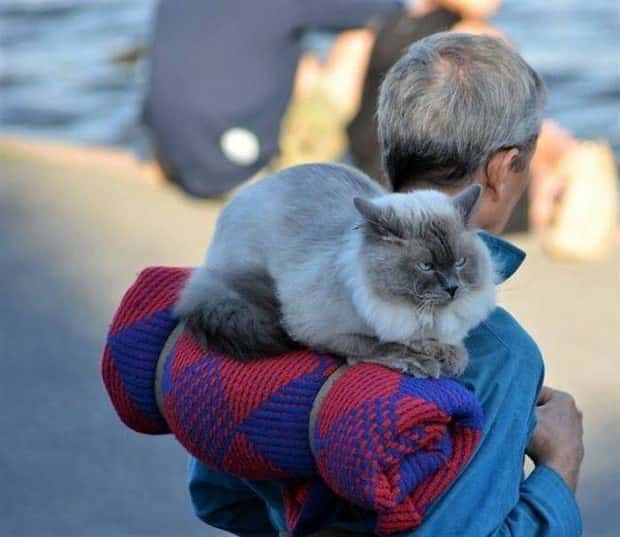 Klyker Picdump #1620 (45 photos)