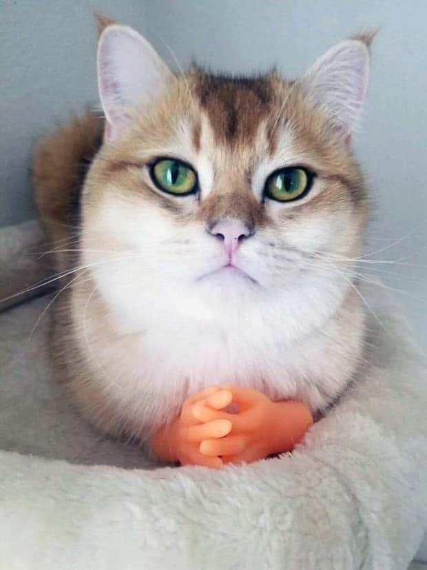 Klyker Picdump #1620 (45 photos)