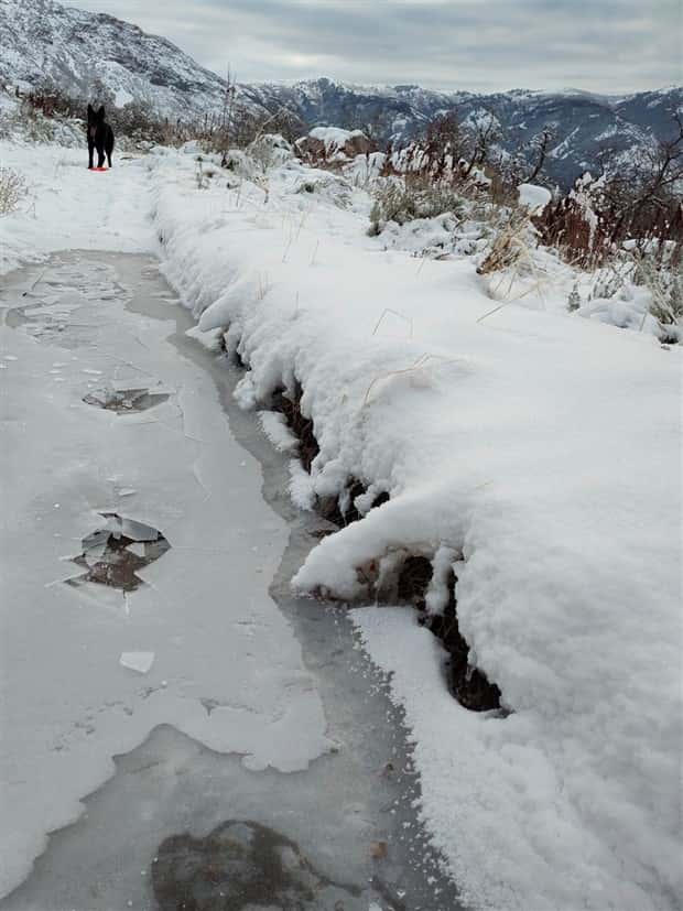 Klyker Picdump #1620 (45 photos)