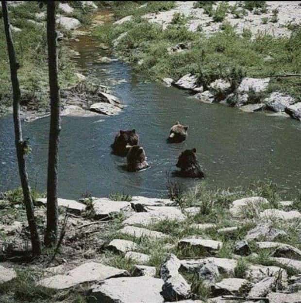 Klyker Picdump #1621 (41 photos)