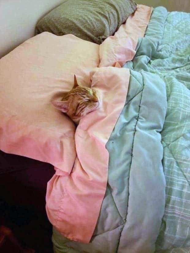 Klyker Picdump #1621 (41 photos)