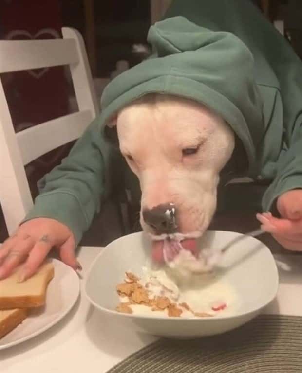 Klyker Picdump #1621 (41 photos)