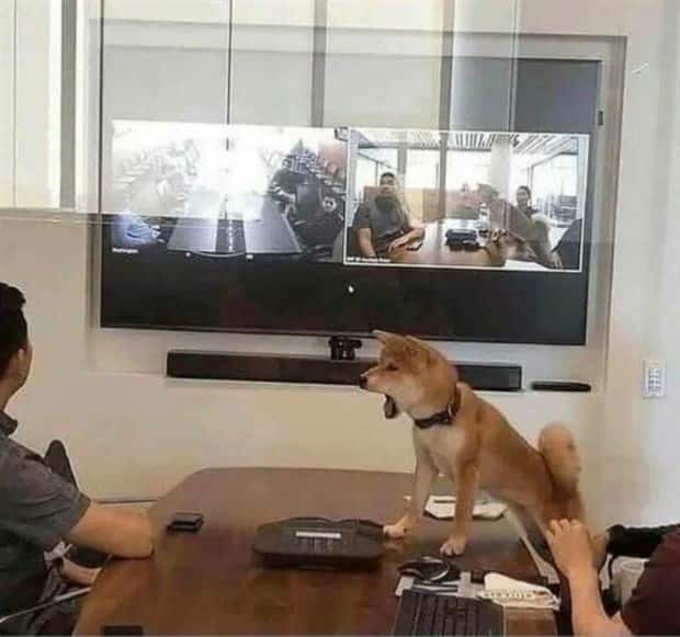 Klyker Picdump #1621 (41 photos)