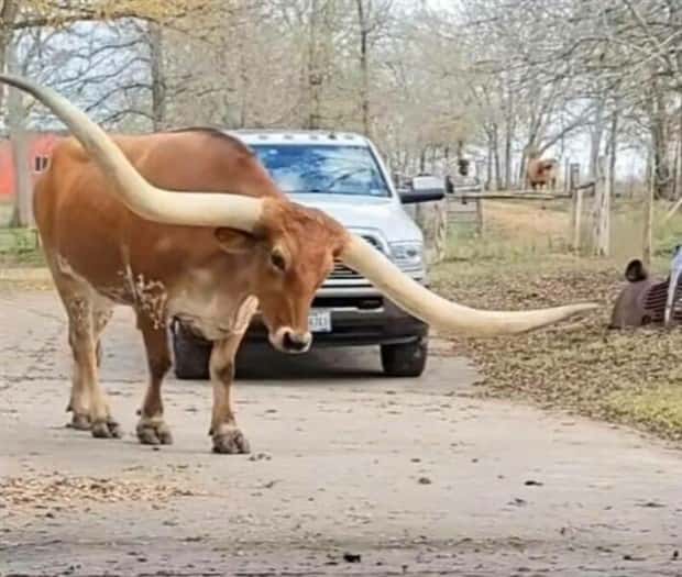 Klyker Picdump #1621 (41 photos)