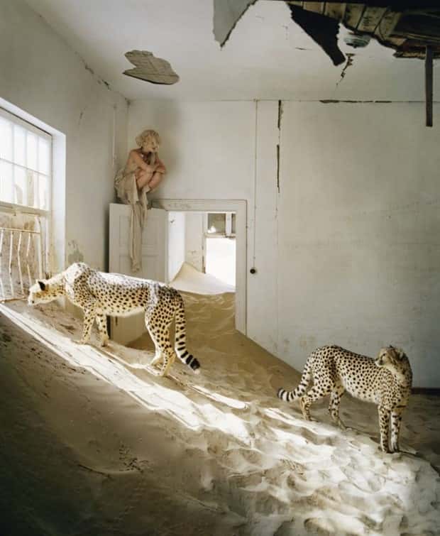 Klyker Picdump #1621 (41 photos)