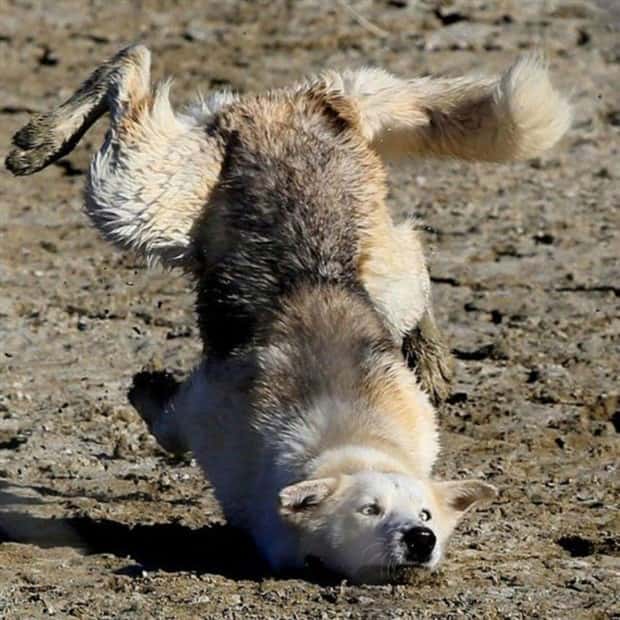 Klyker Picdump #1621 (41 photos)