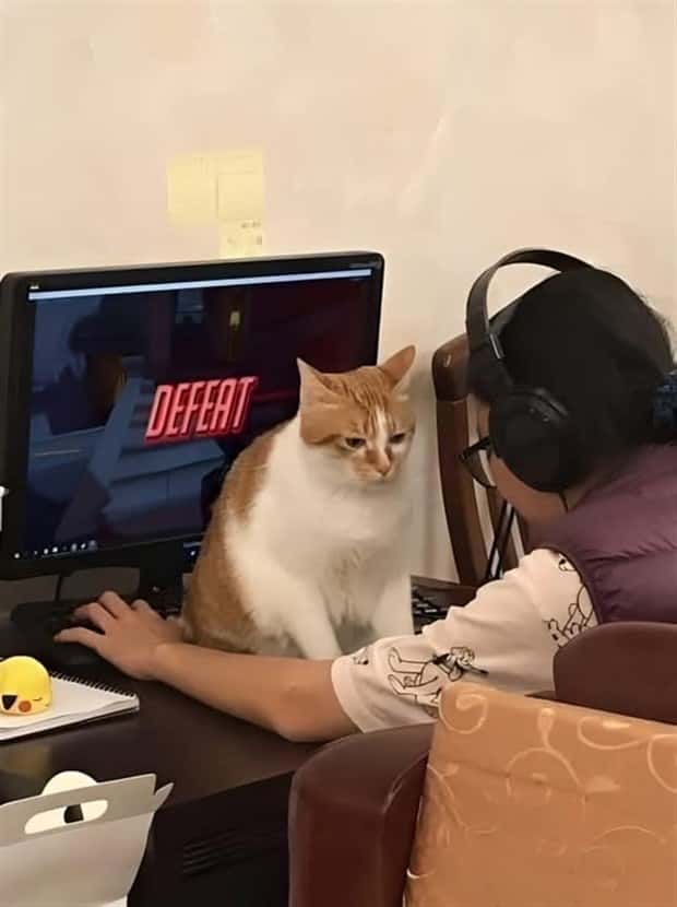 Klyker Picdump #1622 (42 photos)