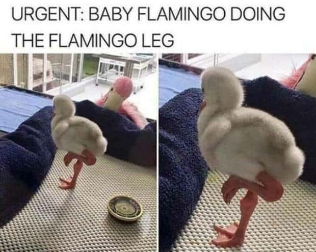 Klyker Picdump #1622 (42 photos)