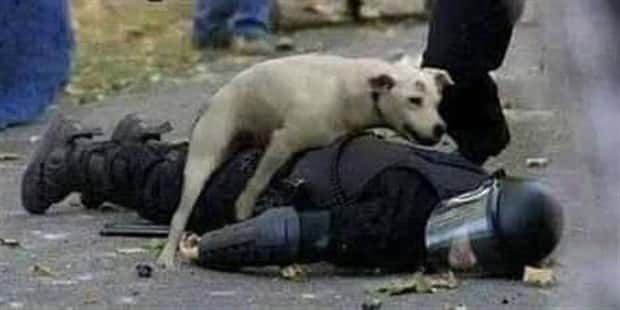 Klyker Picdump #1622 (42 photos)