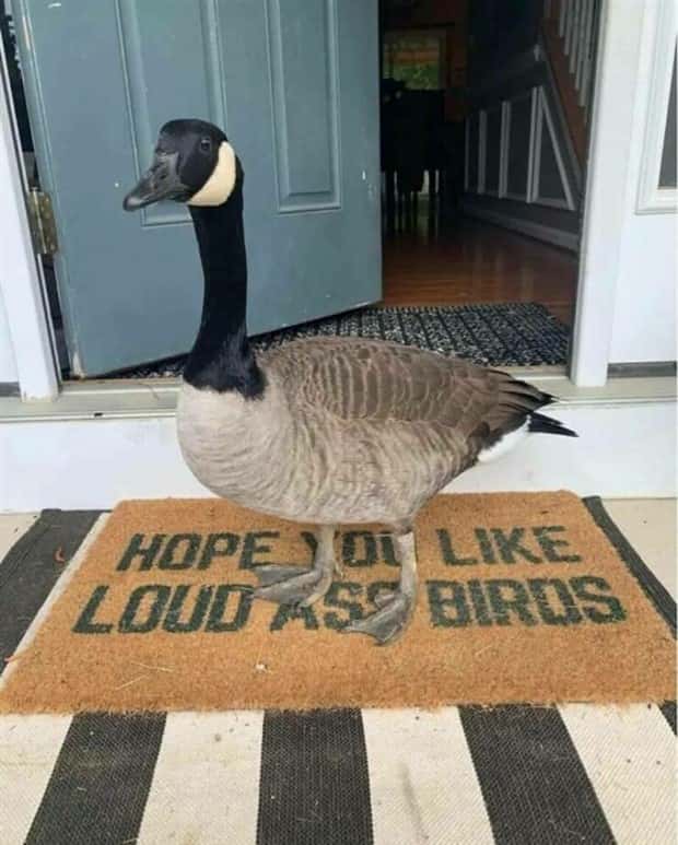 klyker picdump 12 25 2024 26 Klyker Picdump #1623 (43 photos)