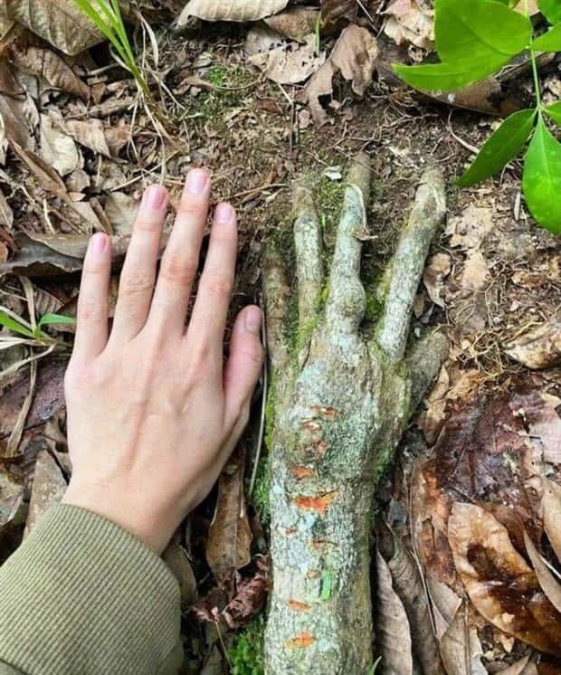 klyker picdump 12 25 2024 31 Klyker Picdump #1623 (43 photos)