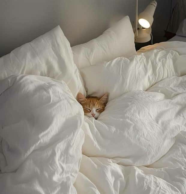 klyker picdump 12 25 2024 43 Klyker Picdump #1623 (43 photos)