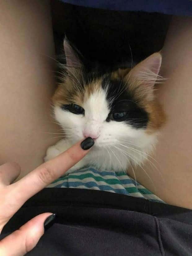 klyker picdump 12 25 2024 7 Klyker Picdump #1623 (43 photos)