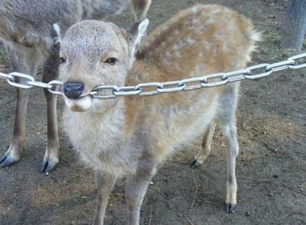 Klyker Picdump #1624 (44 photos)